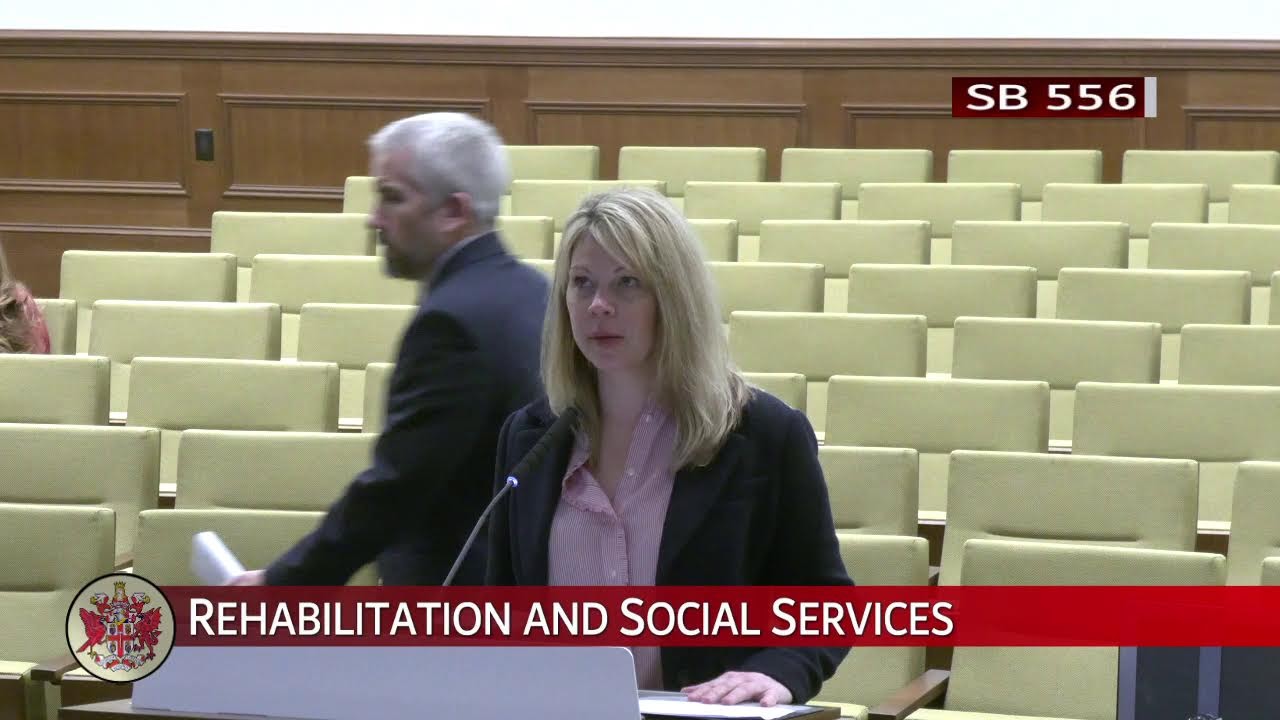 Senate of Virginia: Rehabilitation and Social Services on 2026-02-13 [Finished]
