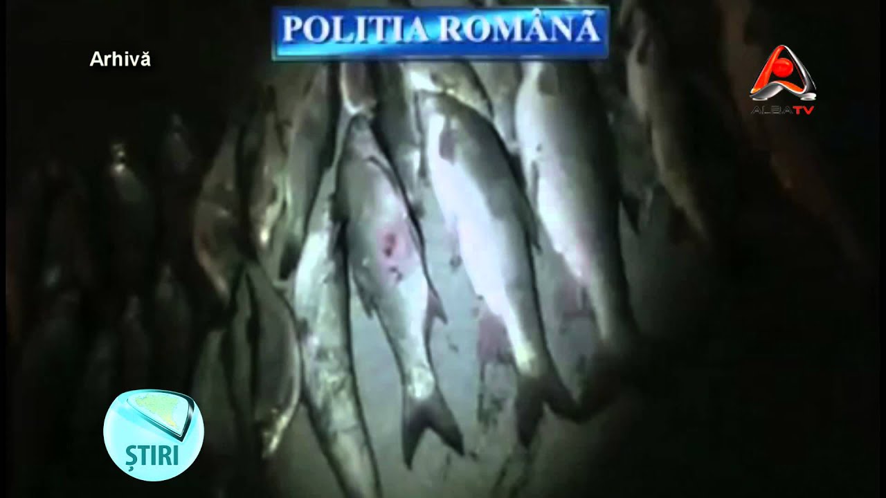 Braconaj piscicol la Căp&acirc;lna
