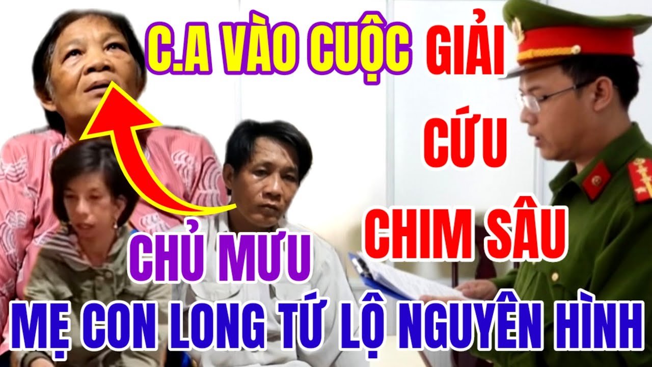 Trưa 25/8: Long Tứ - Chim Sâu Đem Tiền Về Nuôi Mẹ, C.A Vào Cuộc