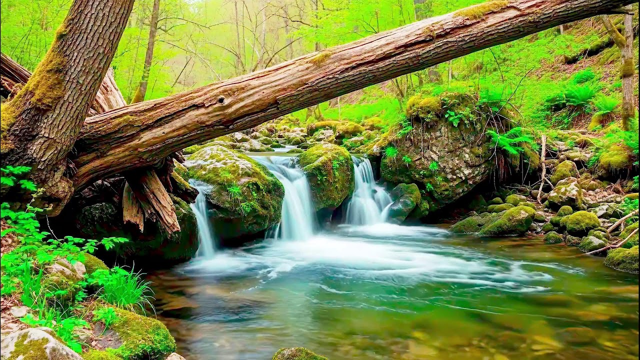 Peaceful River Sound for Deep Sleep | Natural Therapy for Better Wellness and Health