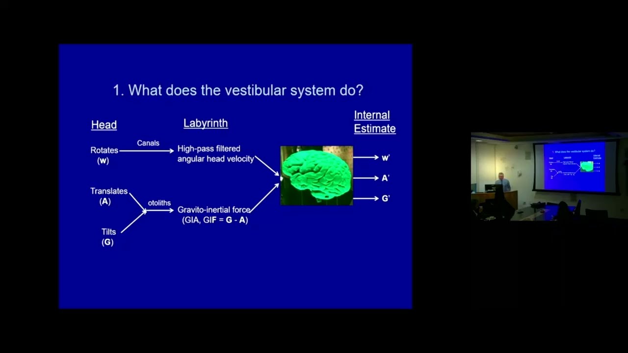 Effects of Vestibular Loss and Restoration on Motor and Cognitive Behaviors