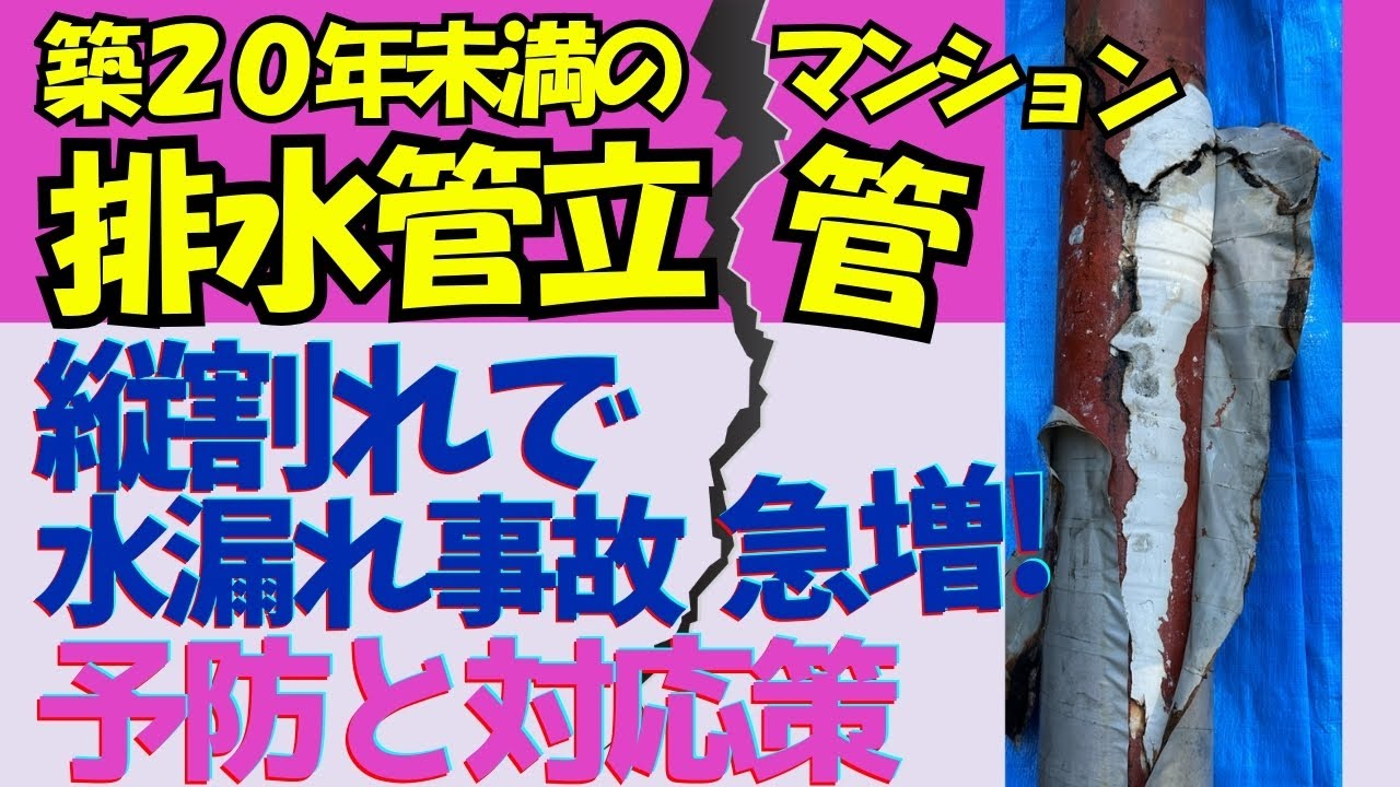 築20年未満の排水管立管 縦割れで水漏れ事故急増！ 予防と対応策