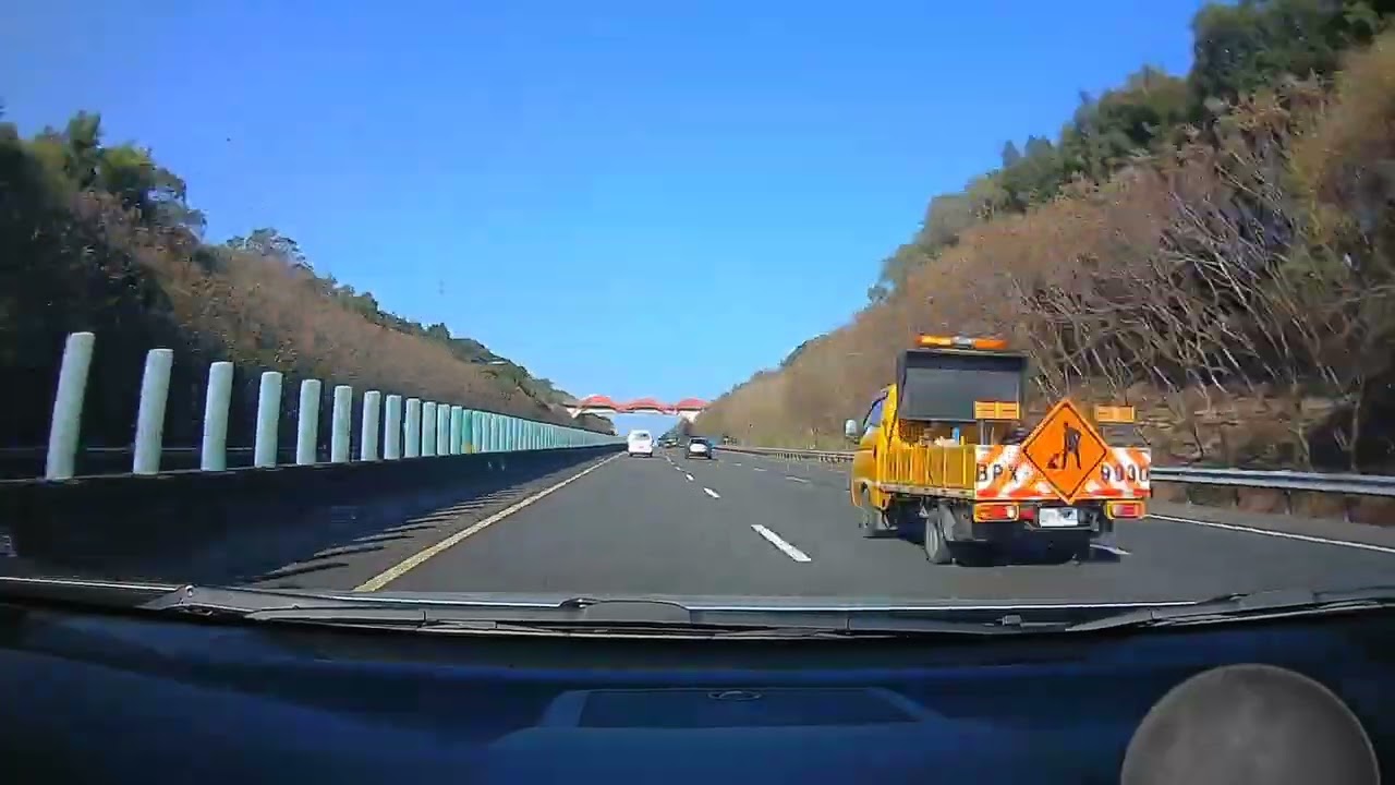 內線龜像驢子 互聞屁股取暖 超車安全又快樂