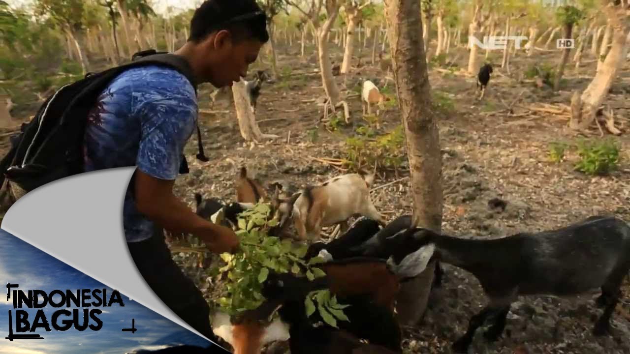 Indonesia Bagus - Bulukumba, Sulawesi Selatan