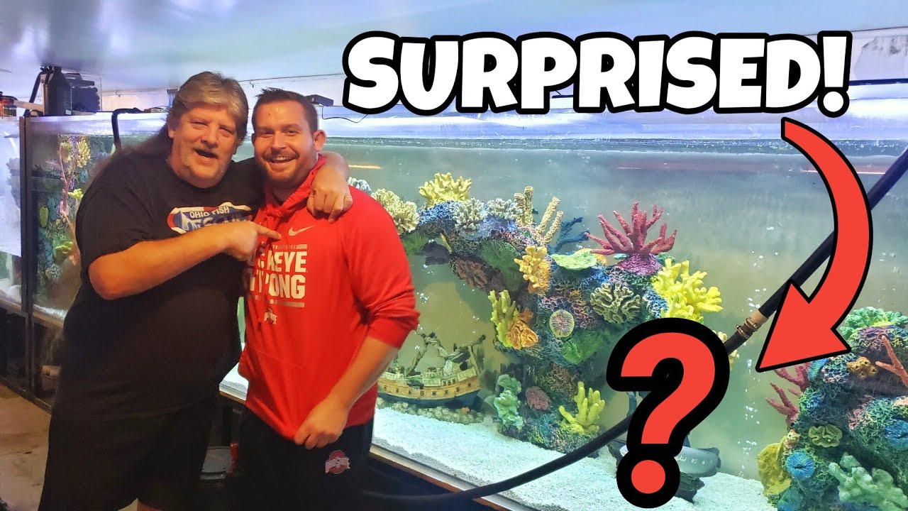 I Gave BigRich His DREAM FISH for BELLAGIO AQUARIUM!