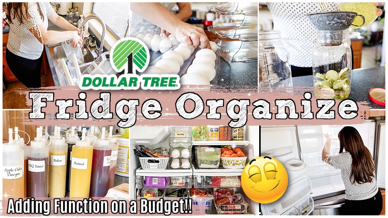 New House DOLLAR TREE ORGANIZATION IDEAS 2026 :: FRIDGE CLEAN & ORGANIZE ON A BUDGET + HAUL
