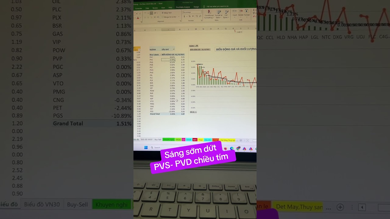 S&aacute;ng sớm ph&iacute;m PVS- PVD chiều t&iacute;m #truongtoannewstockchannel