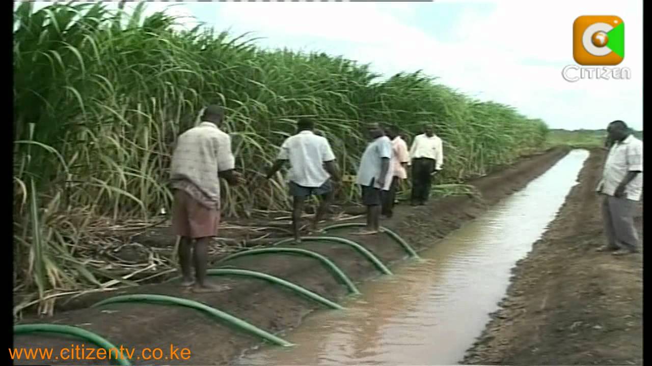 Kibaki Opens Mombasa Show