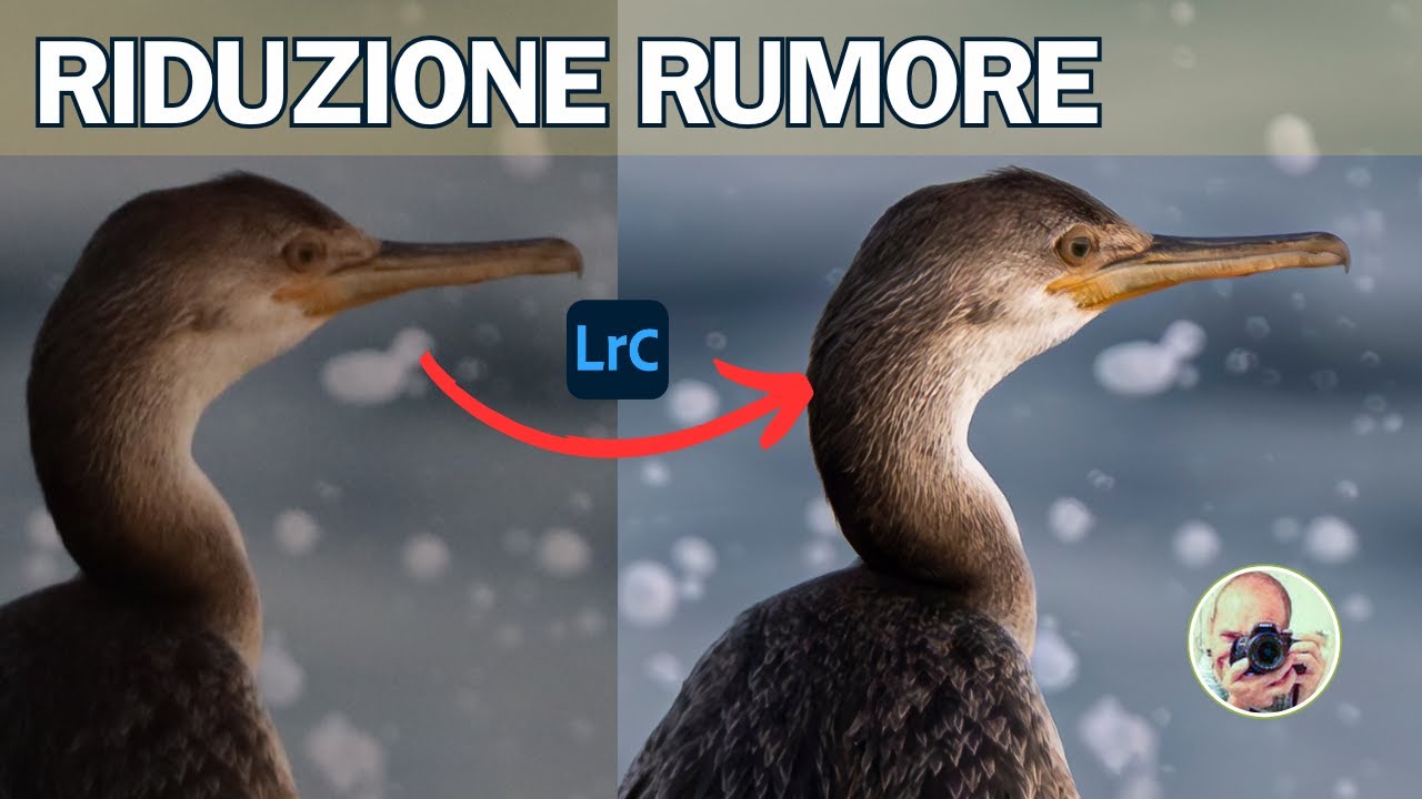 TUTORIAL LIGHTROOM COME UTILIZZARE LO STRUMENTO DI RIDUZIONE DEL DISTURBO IN MODO INCREDIBILE