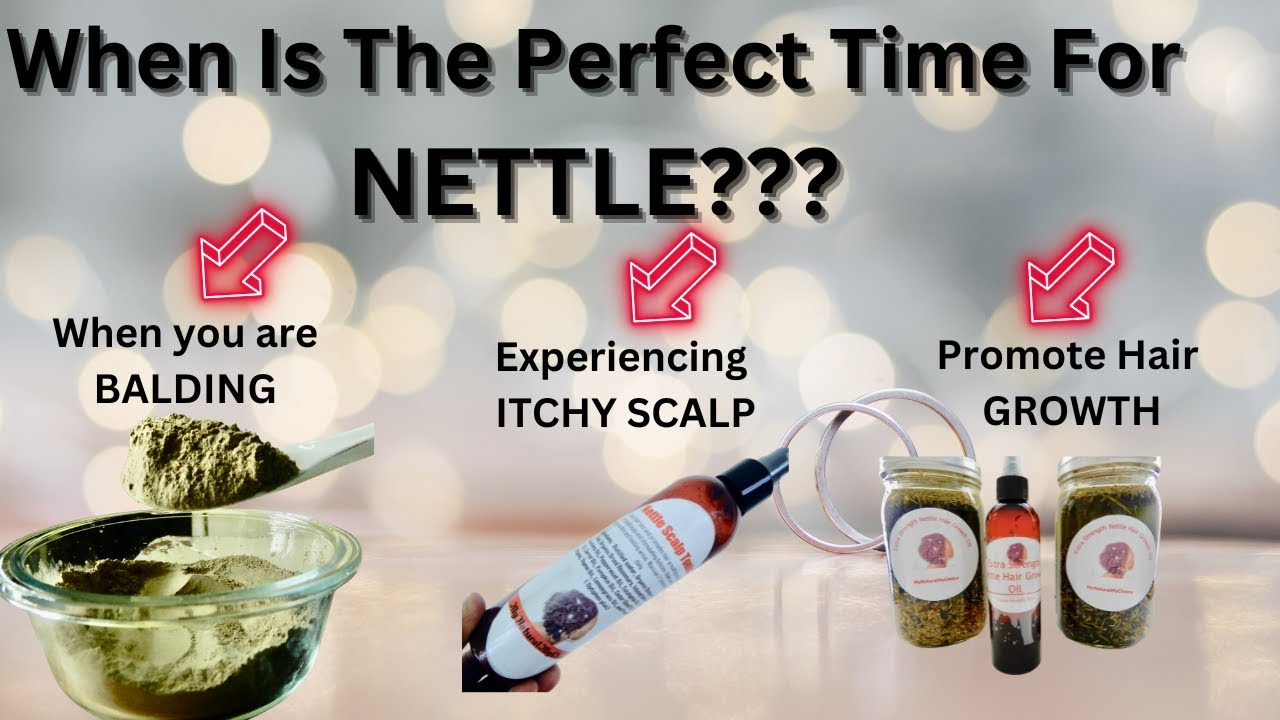 Using Nettle  Hair Mask, Nettle Scalp Tonic, Nettle Hair Growth Oil/ Stopping Hair Loss!