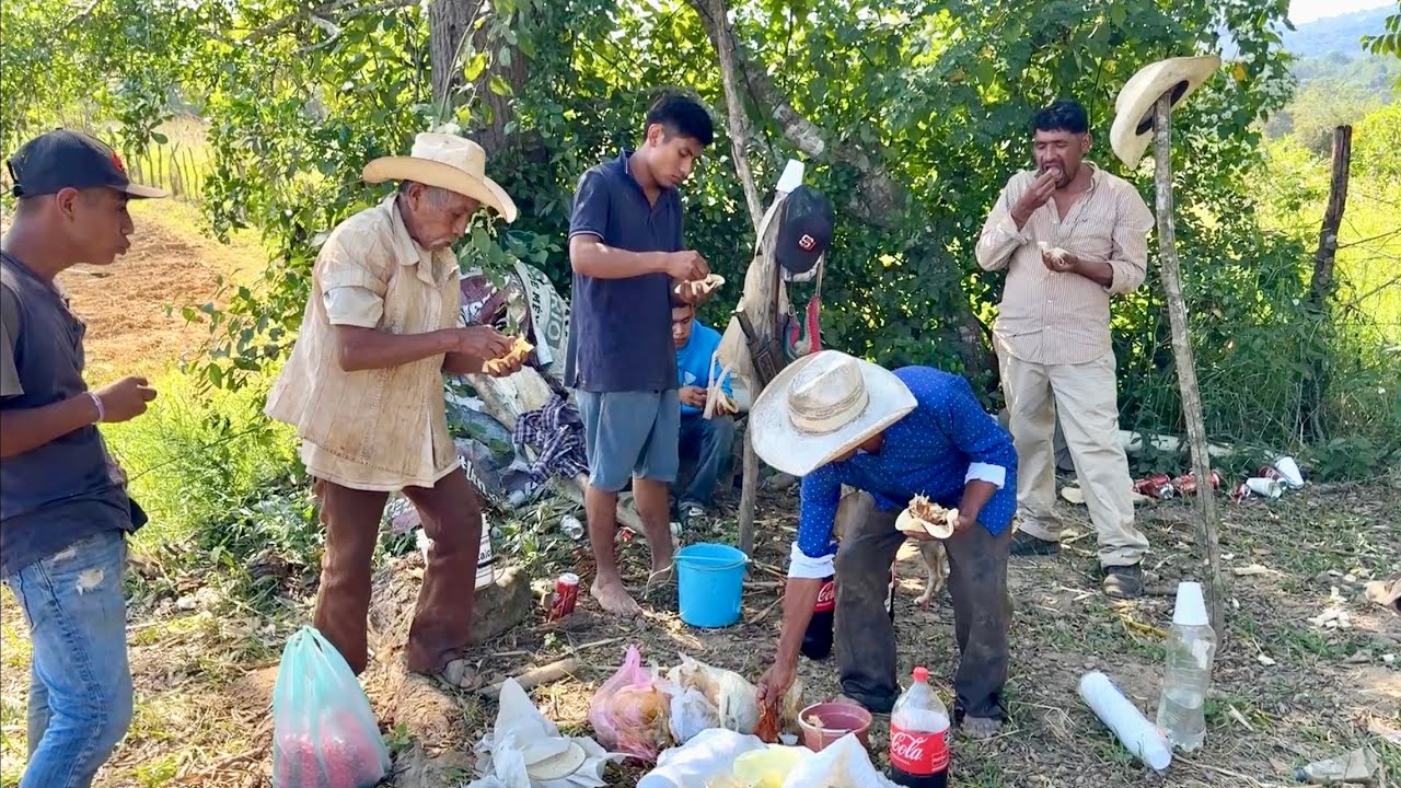 Así se come en el campo en los pueblos de Oaxaca en la siembra de maíz #campo #agricultura  #mexico 