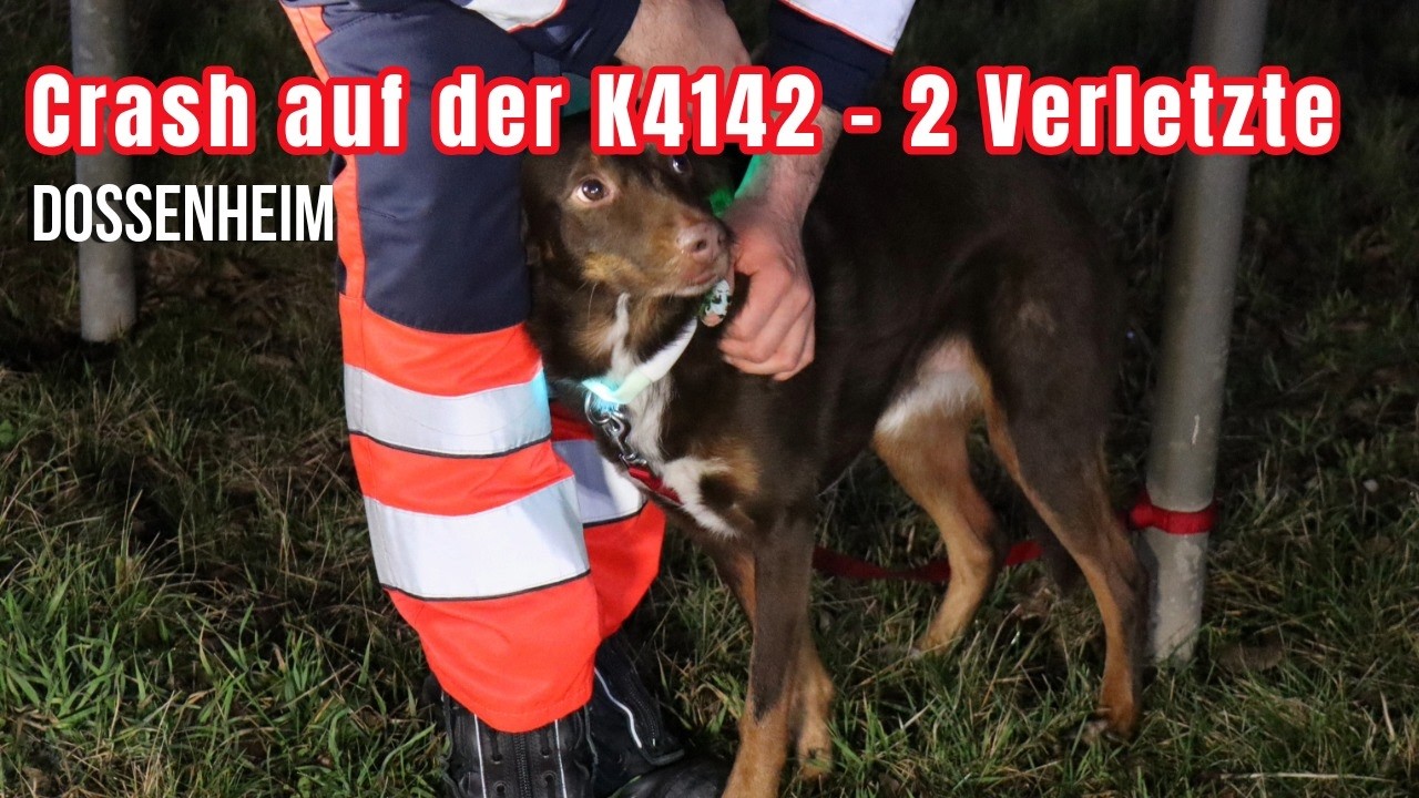 Unfall in Dossenheim: Zwei Frauen verletzt, Hund wohlbehalten von Rettungskräften betreut