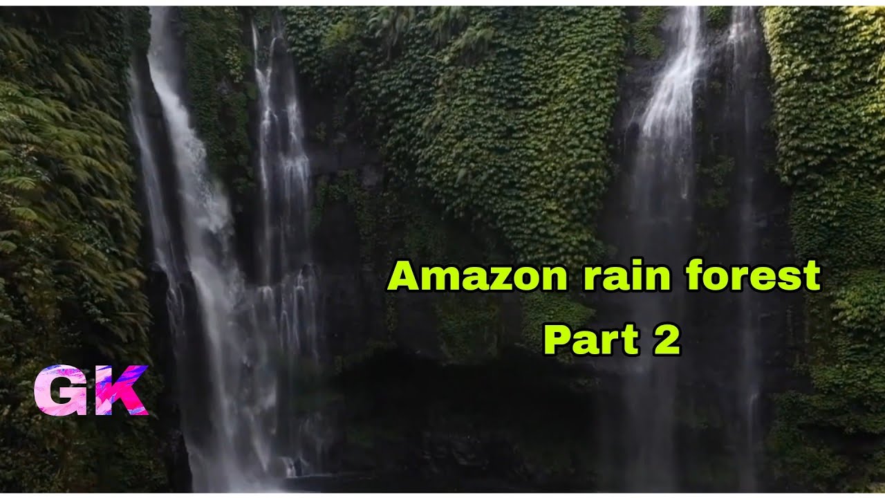 Amazon rain forest-part 2 @ Gopalakrishnan P