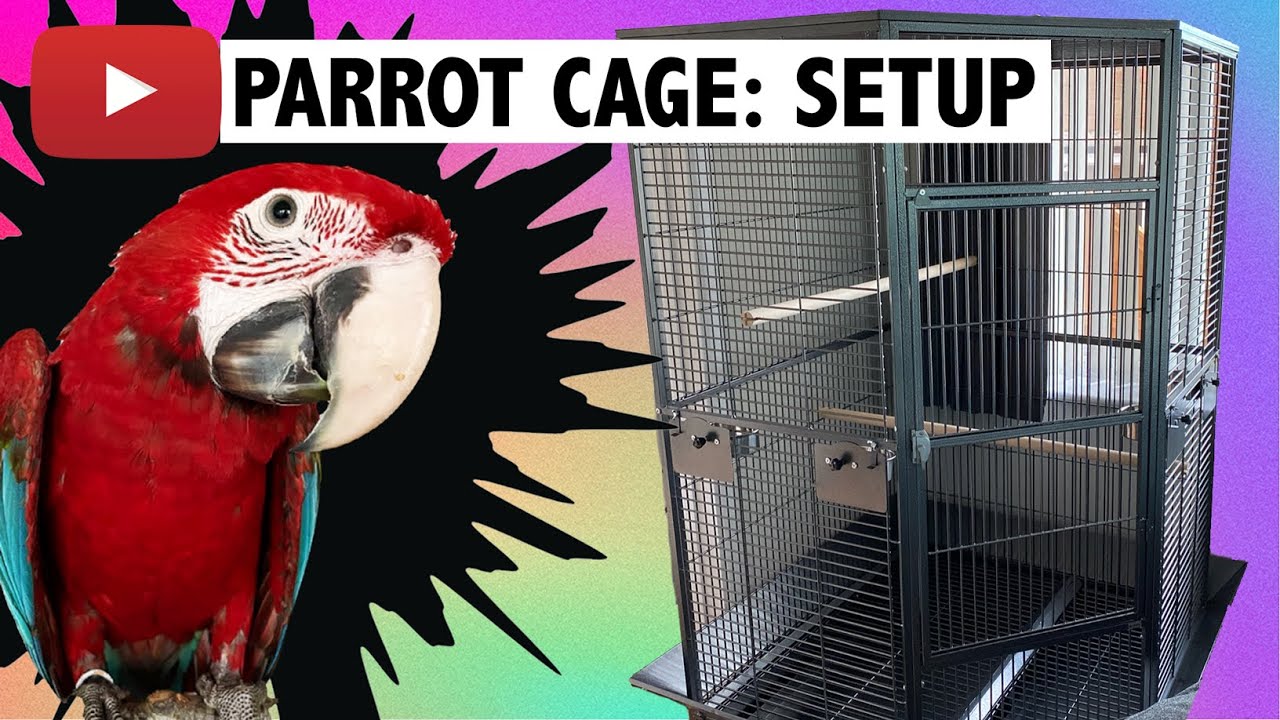 Getting our cage ready for baby Macaw!