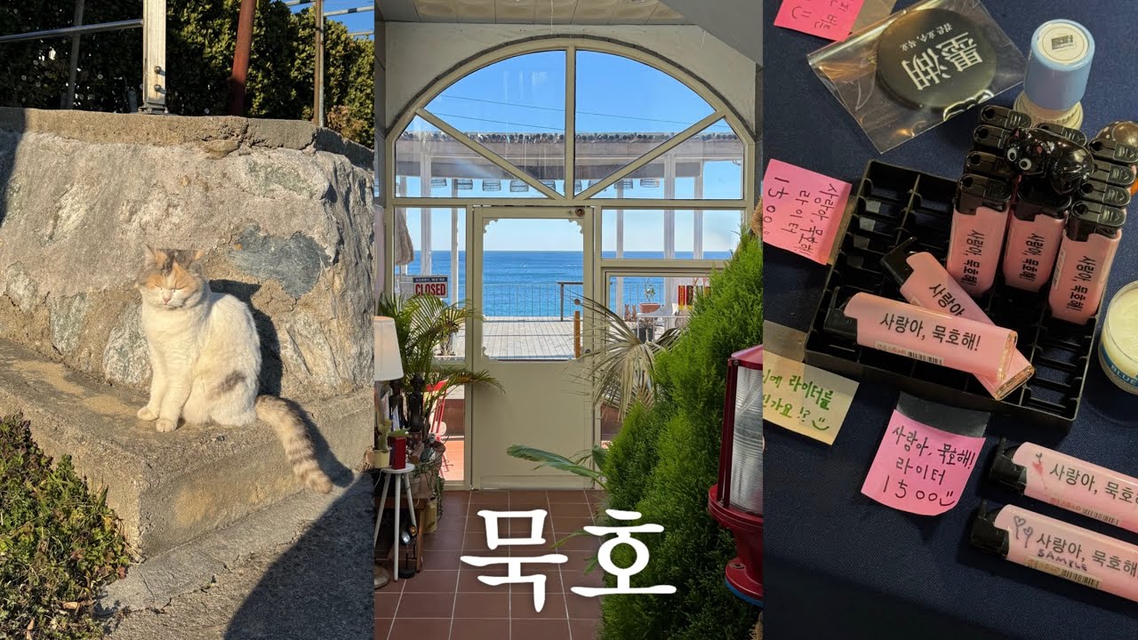 혼여중독자의 야무진 낭만 묵호 혼자여행 vlog☃️ 묵호 두쫀쿠맛집, 안유명한 찐맛집 추천 | 도른 오션뷰 게하에서 별도 보고 일출도 보는 갬성 묵호 | 혼여행 당신두 할수있어~🌀