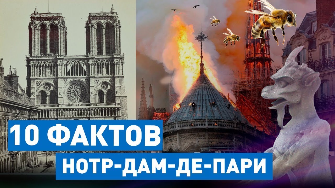 10 интересных фактов о Нотр-Дам де Пари, которые вы могли не знать