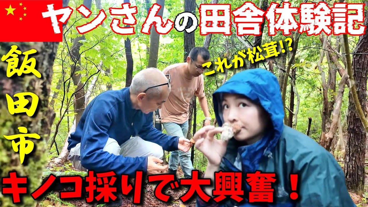 【相続はお早めに】日本の農村で初めてのキノコ狩り！中国人女性ヤンさんの田舎体験記！飯田市のソウルフード焼肉が美味すぎる！ 崖っぷち中国深セン・東莞駐在員の日常 【年の差日中夫婦】VLOG205
