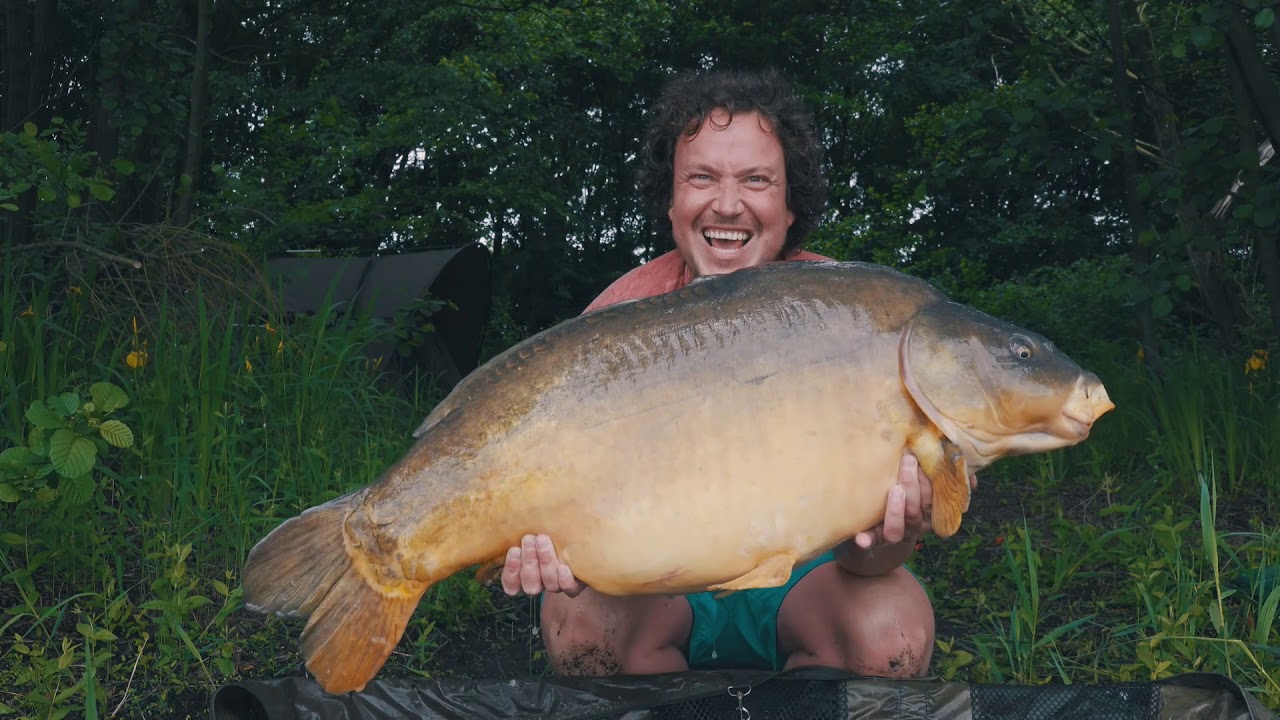 Karpfen R&uuml;ckblick M&auml;rz bis Juni 2019 mit 3 x 20 KG Spiegelkarpfen