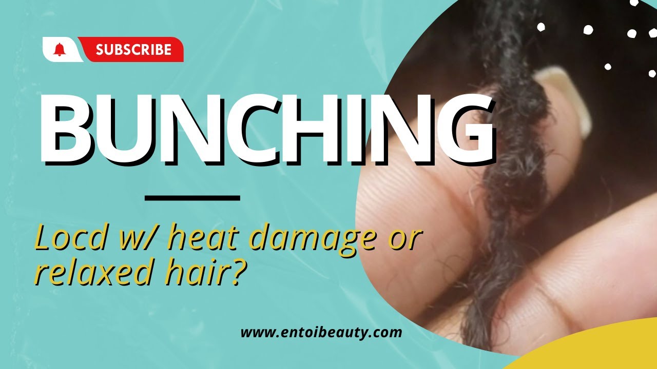 Loc Bunching With Heat Damage/ Relaxed Hair| Microlocs | Sisterlocs | Microtwist