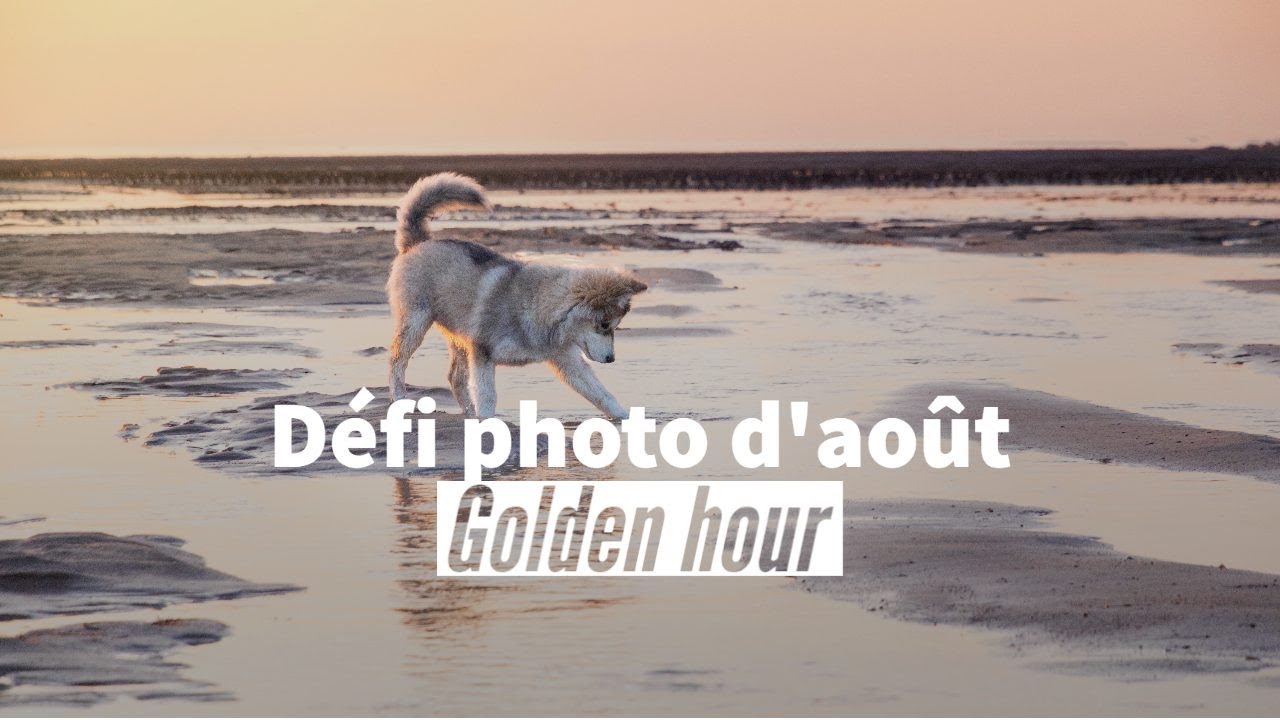 Les gagnants du d&eacute;fi photo d'ao&ucirc;t !