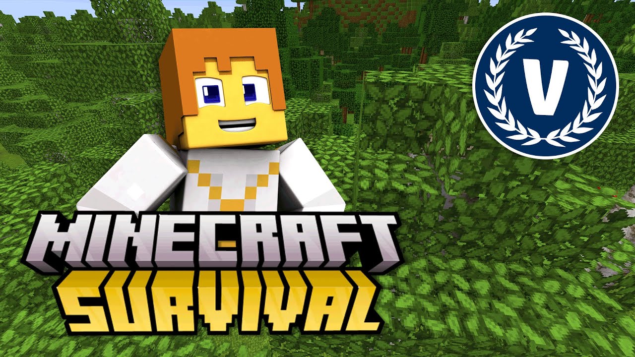 Project Boompje! - Minecraft Survival - VakoGames