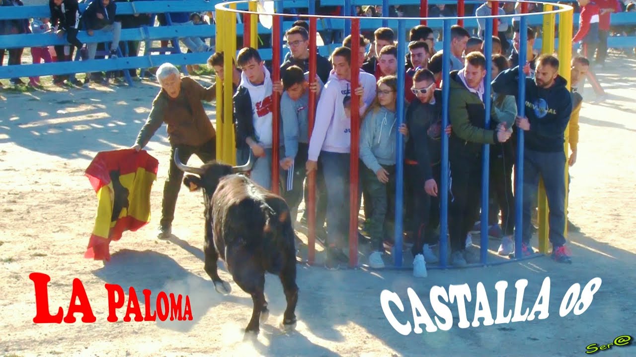 ✅2019 CASTALLA ◾ INTEGRA  Encierro Infantil y la Paloma