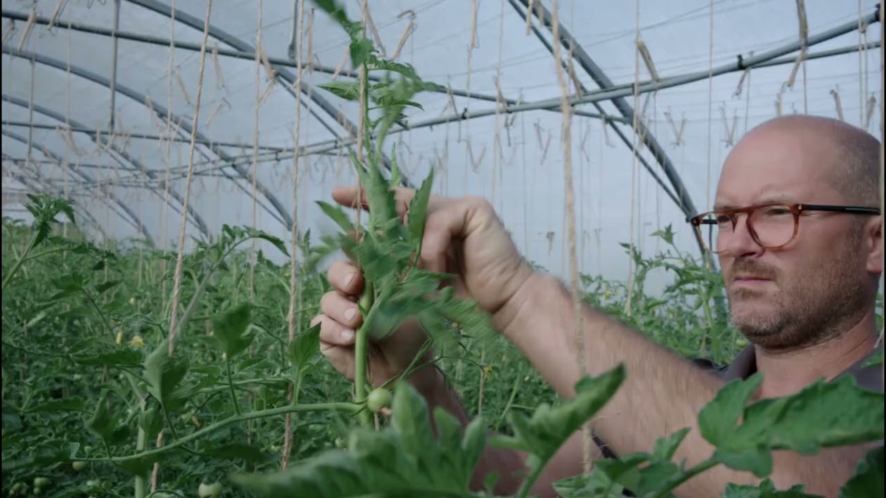 Les producteurs de la binée paysanne : la ferme de la ville Lambert