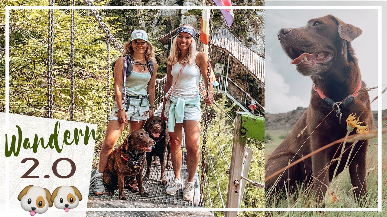 Abenteuer Wandern mit Hunden  VLOG | Nico ist zu Besuch | KaroLovesMilka