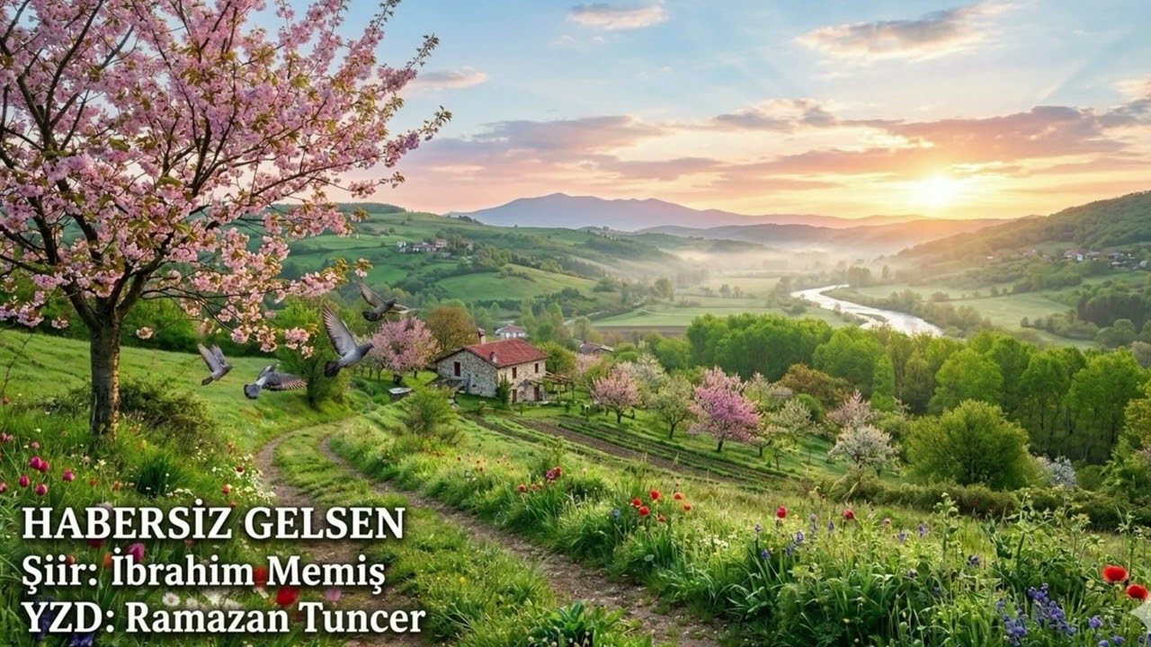 Habersiz gelsen