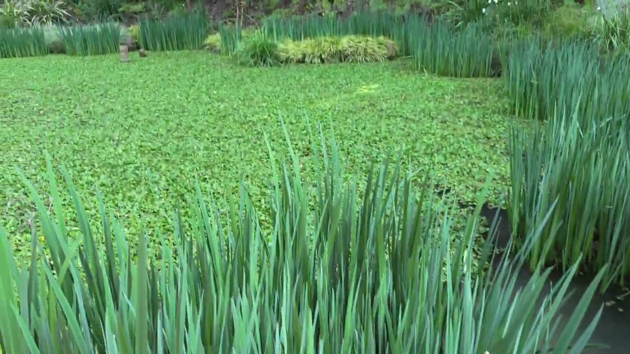 Parque Tricao, Parque bicentenario de Vitacura y el MUT