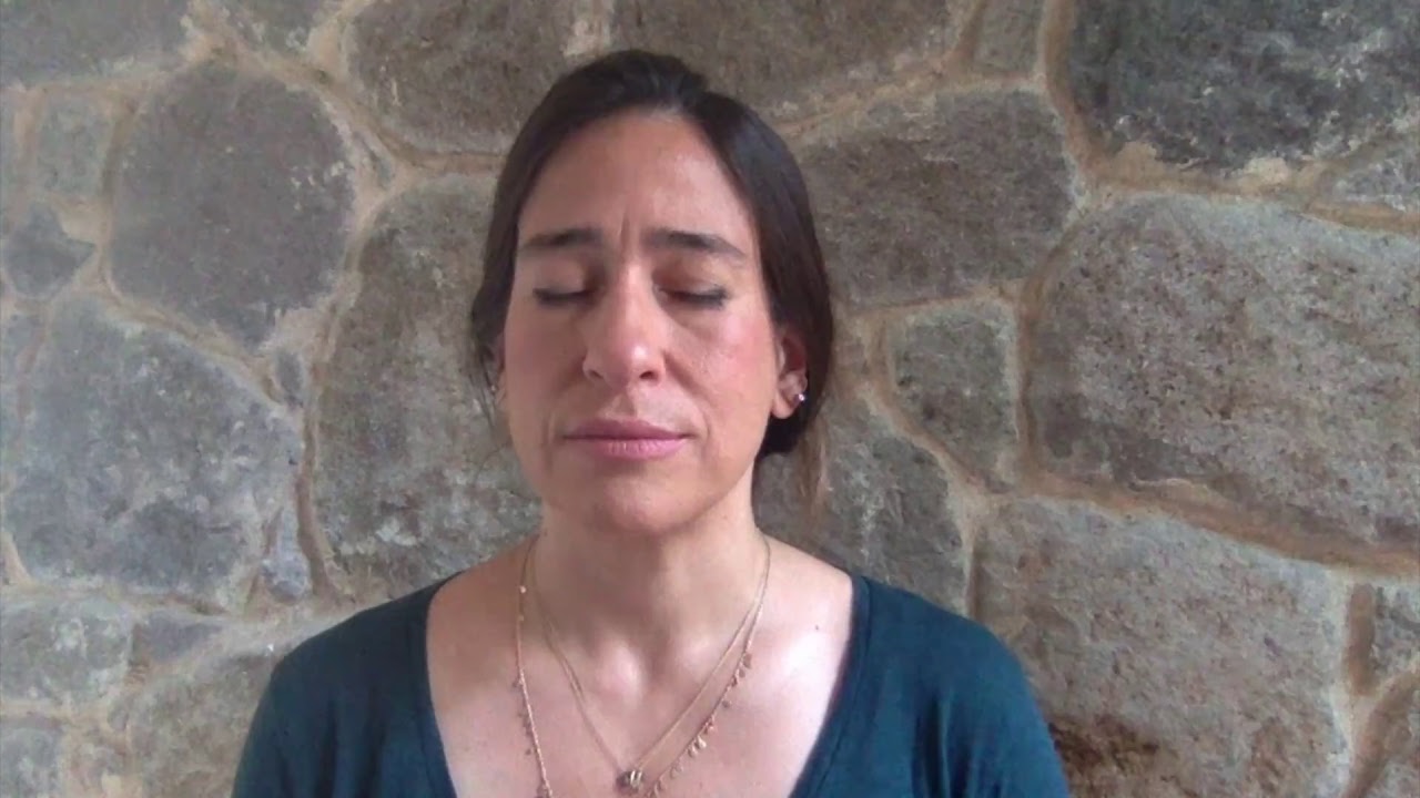 113 Yeni Meditasyon: Dr. Dan Siegel Farkındalık Çarkı