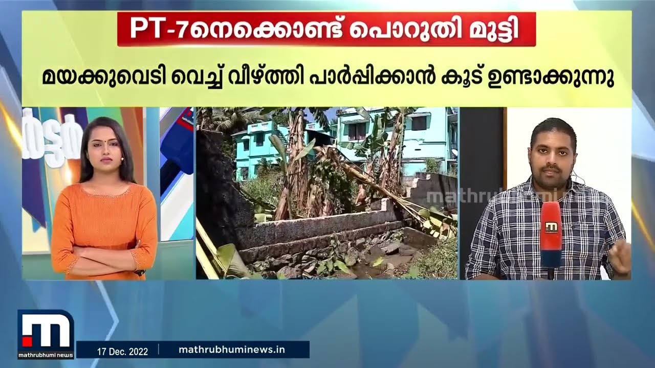 കാട്ടാനഭീതിയില്‍ വിറങ്ങലിച്ച്  ധോണി: തത്സമയം റിപ്പോര്‍ട്ടര്‍  | Mathrubhumi  | Thalsamayam Reporter