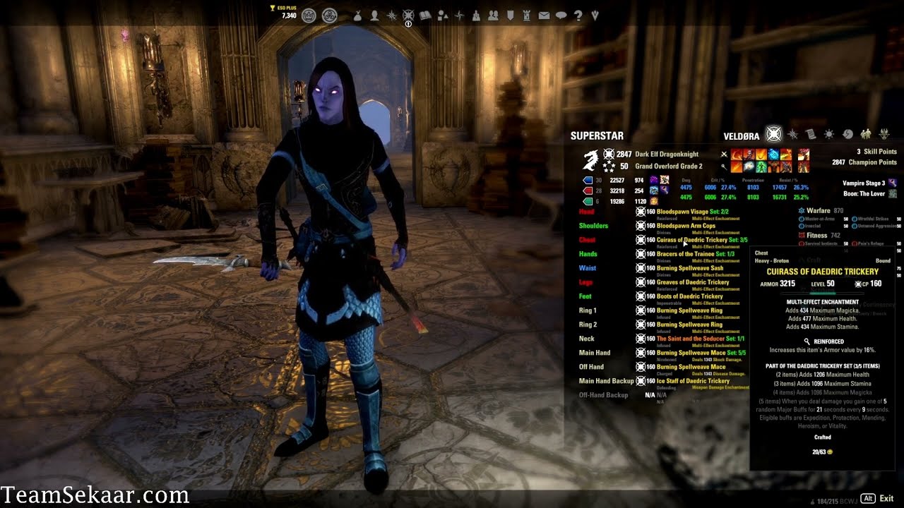 ESO PvP - MagDK Meets Scribing W/ This New Build! - [Gold Road Chapter]