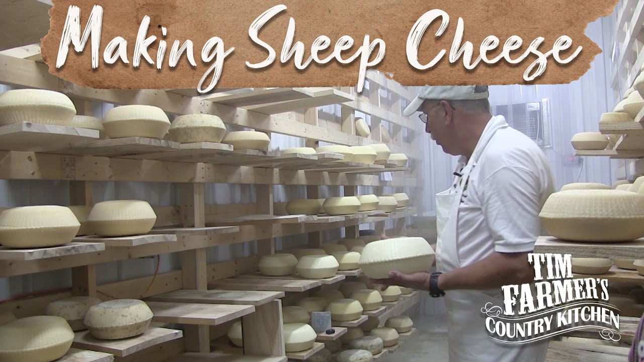 SHEEP CHEESE | How-To Make Sheep Cheese the Old Fashioned Way