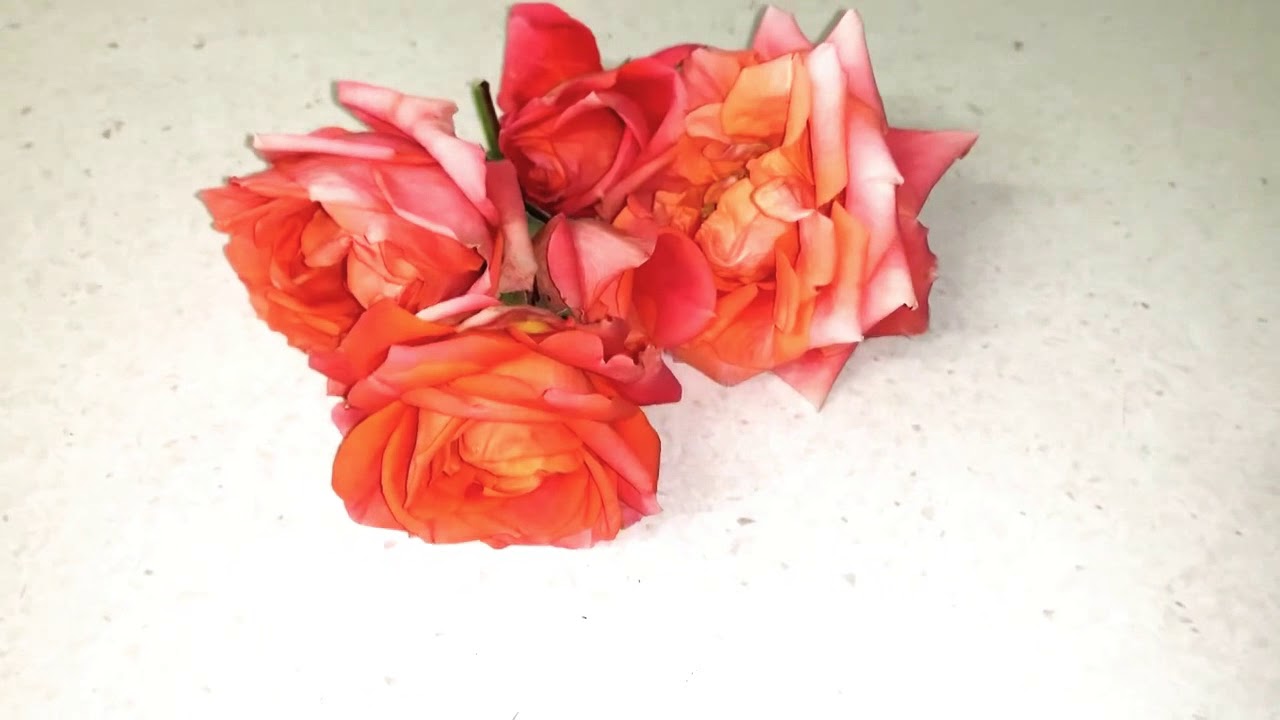 Natural Room Spray Spritz- Rose Fragrance
