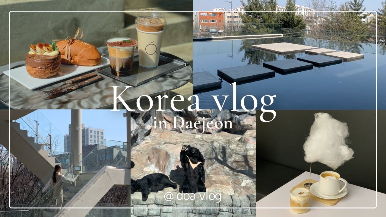 韓国vlog | Daejeon Ep.2⌇大田(テジョン)旅行⌇2泊3日⌇雲のコーヒー Luz coffee⌇aight cafe⌇O-World ⌇광세족발⌇韓国旅行⌇韓国カフェ⌇日韓夫婦