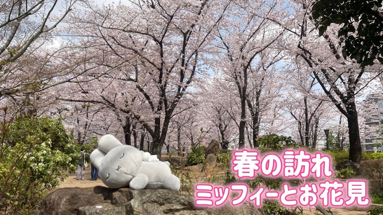 【Vlog】桜が満開だったのでミッフィーとうさぎでお花見に行ってきました【平日仕事中】
