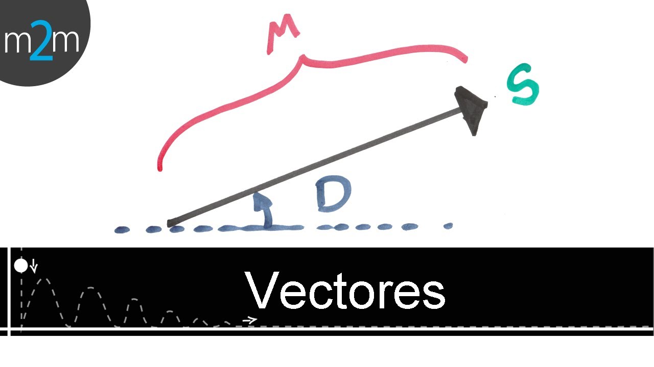 ✅ Que es un VECTOR
