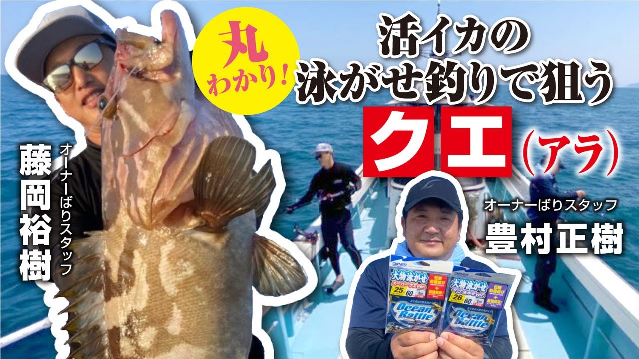 丸わかり！活イカの泳がせ釣りで狙うクエ（アラ）