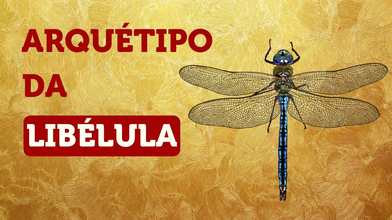 ACESSE A FREQUÊNCIA TRANSFORMADORA DO ARQUÉTIPO DA LIBÉLULA