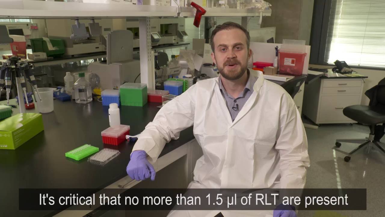 RNA:Protein Tips & Tricks - Lysate Guidelines