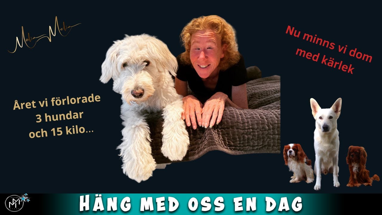 vlogg året vi förlorade tre hundar