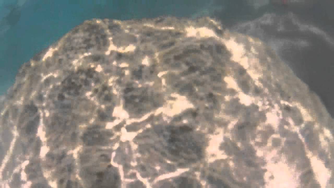 Horseshoe Bay beach Snorkeling