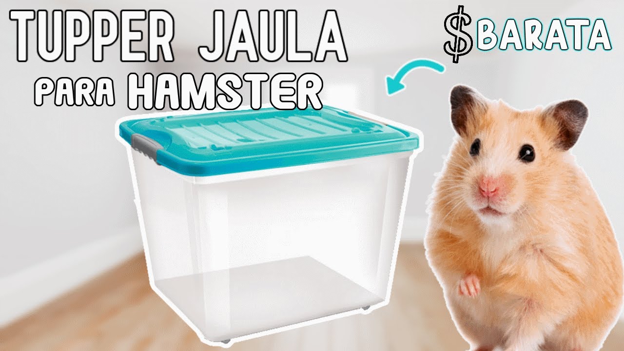 TUPPER JAULA para HAMSTERS