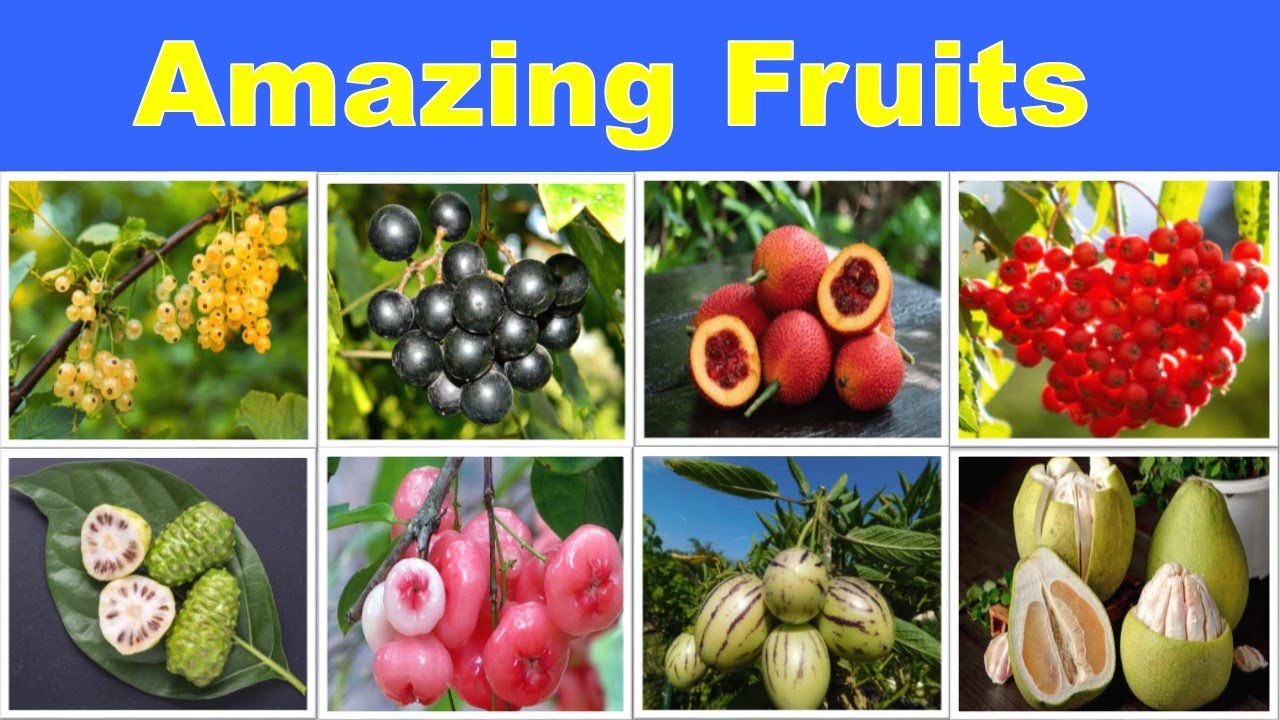 100 Amazing Fruit Names in English | Types of Fruits with Pictures | Fruit Vocabulary Guide
