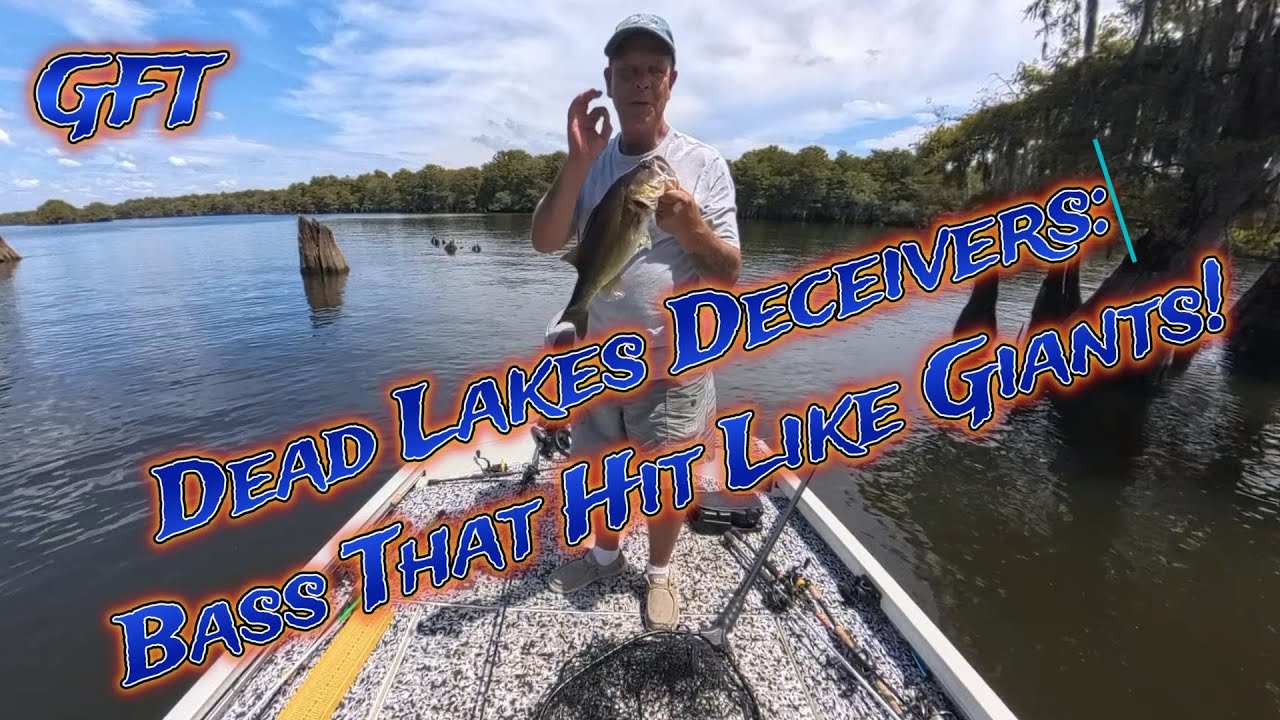 Dead Lakes Deceivers: Bass That Hit Like Giants!