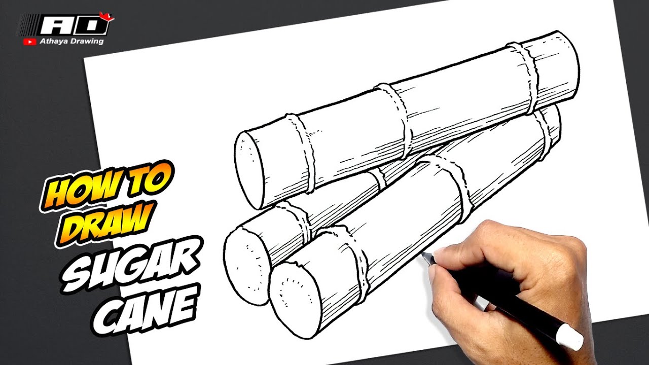 How to draw Sugar Cane