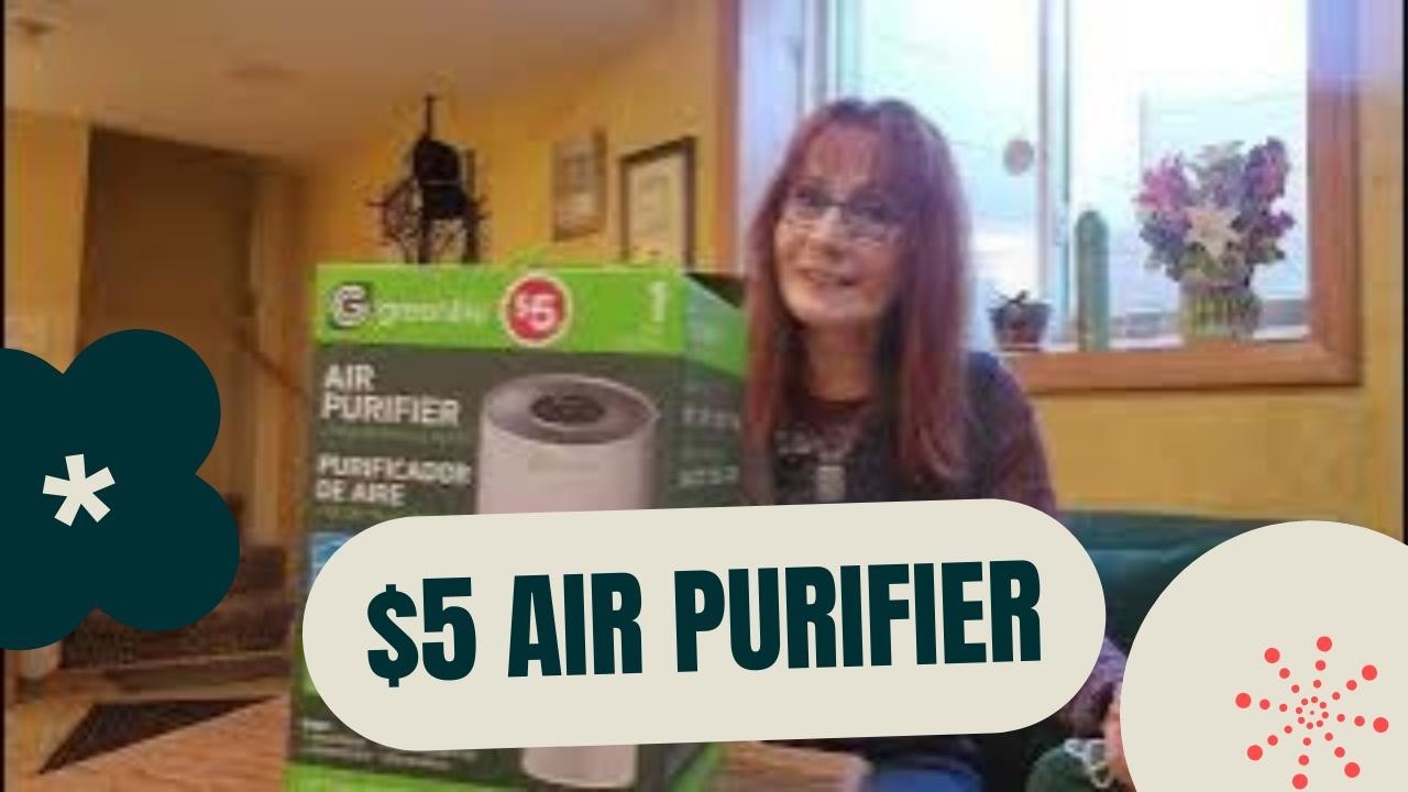 Air purifier good for pet hair and dander ,allergens, odors, pollens. Absolute must!