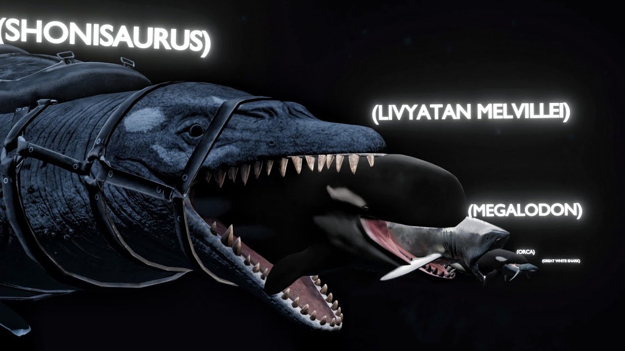 FISH EAT FISH 3D 4K/size comparison,Big fish eat small fish.🐠🐟
