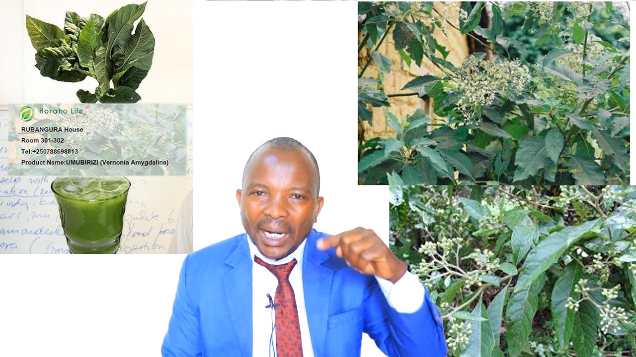 UMUBIRIZI NUMUTI UKOMEYE CYANE UVURA INDWARA DORE INDWARA UVURA